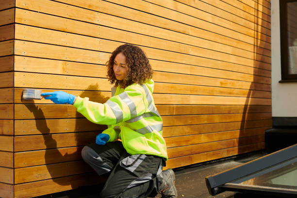 Affordable Siding Repair and Maintenance Services in Frankfort, KY